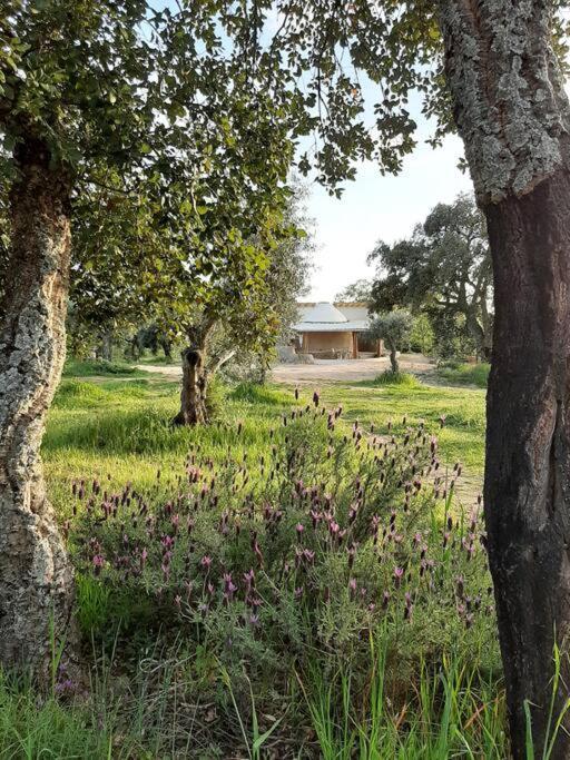 Villa Quinta Terramadome: Dome Incomum & Responsavel Penamacor Esterno foto