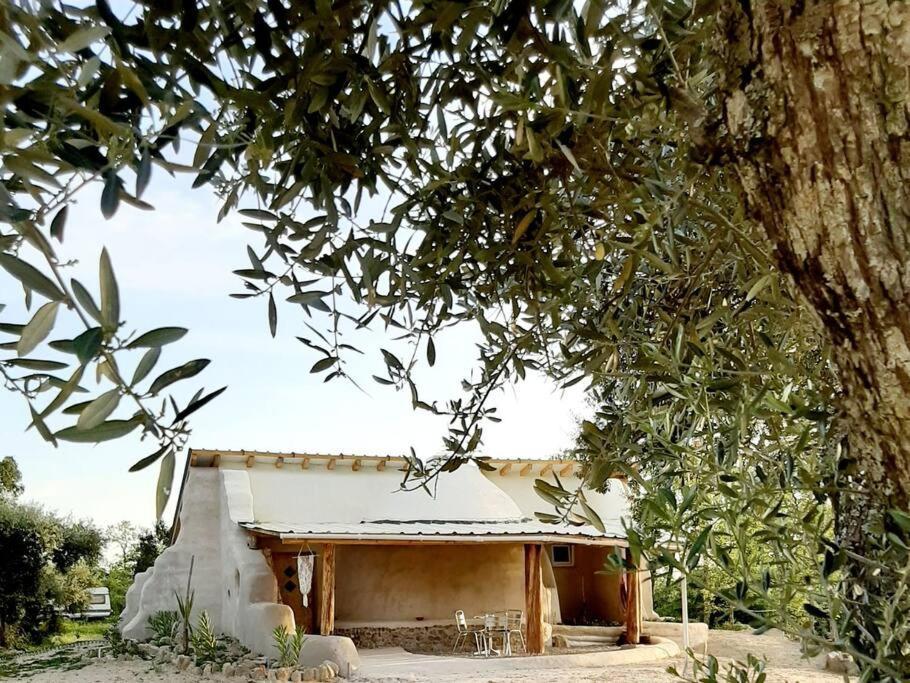 Villa Quinta Terramadome: Dome Incomum & Responsavel Penamacor Esterno foto